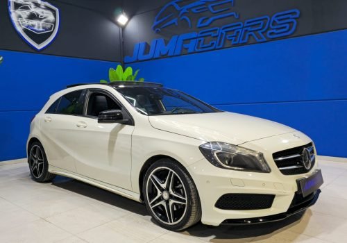 WhatsApp Image 2026-02-17 at 17.39.33