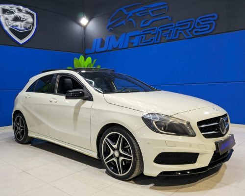 WhatsApp Image 2026-02-17 at 17.39.33